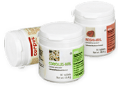 MRL Mushroom Nutrition